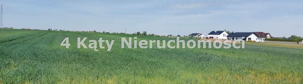 Zębców ul. krańcowa działka 2,26 ha
