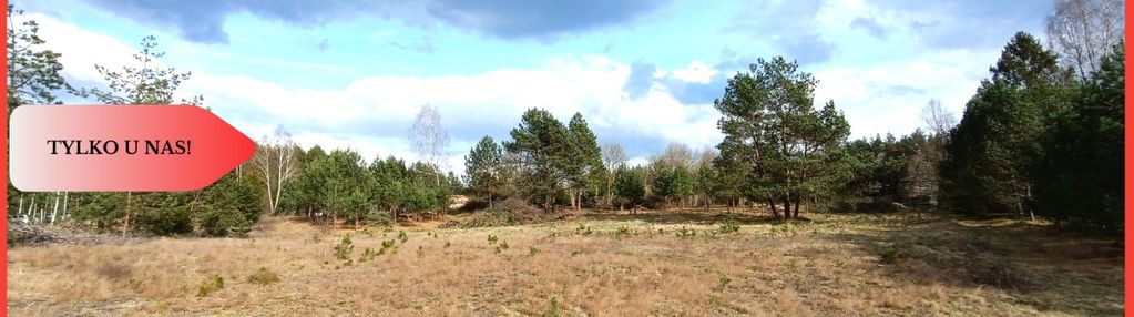 Tylko u nas! działka-cisza, natura i potencjał!