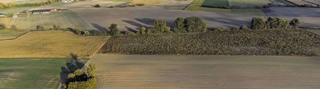 Na sprzedaż  działka budowlana mieściska 1645 m2