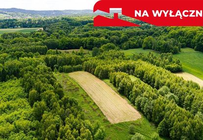 3 działki rolne na sprzedaż | skrzyszów | 1,56 ha