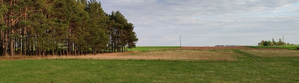 Atrakcyjne działki w cichej spokojnej okolicy