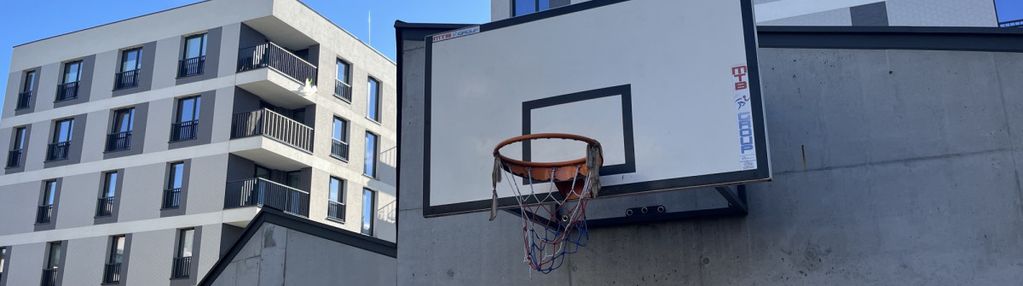 Dwustronne | bez prowizji | promocja gwarantowana