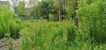 Działka 3130 m2 piaski