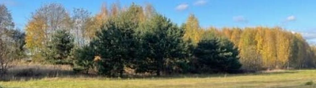 Działka z zabudową jednorodzinną, linia 110 kv