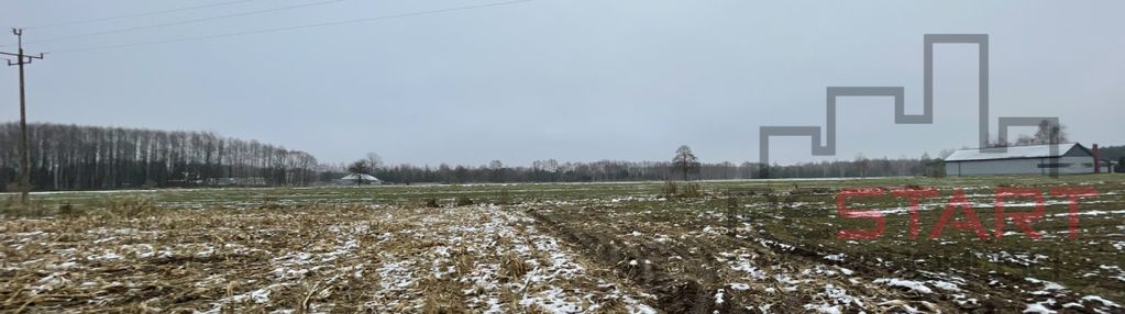 Idealna do podziału. zapraszam