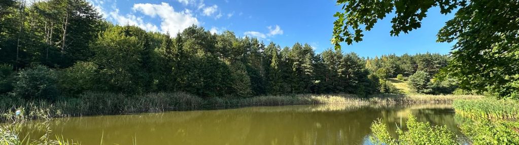 Unikalna działka 3,76 ha z własnym jeziorem!