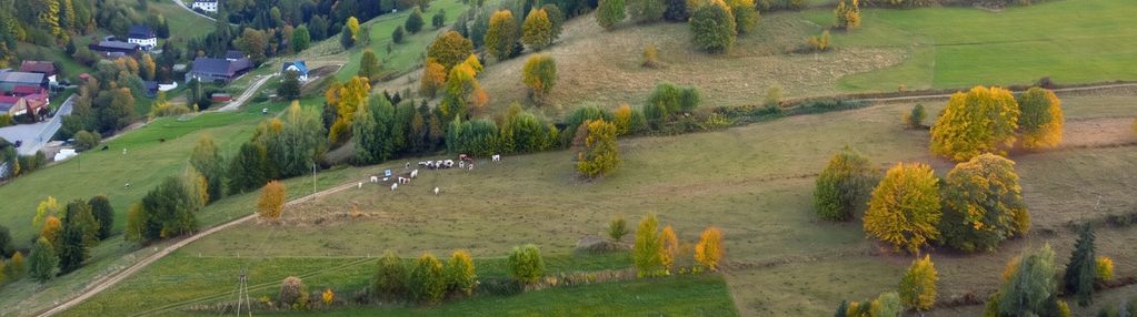 Łapszanka  32 ary w sercu spisza i podhala