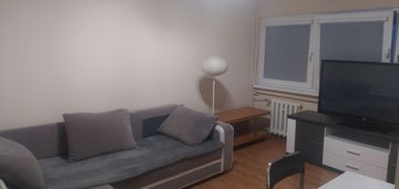 Do wynajęcia mieszkanie 2-pokojowe na Teofilowie