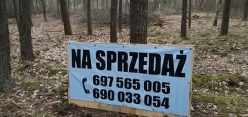 Błędowo działka budowlana - las