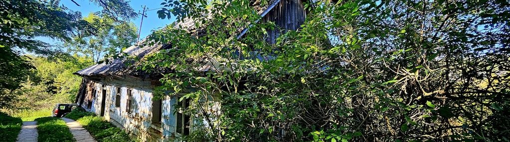 Siedlisko-  rzepiennik biskupi- małopolska