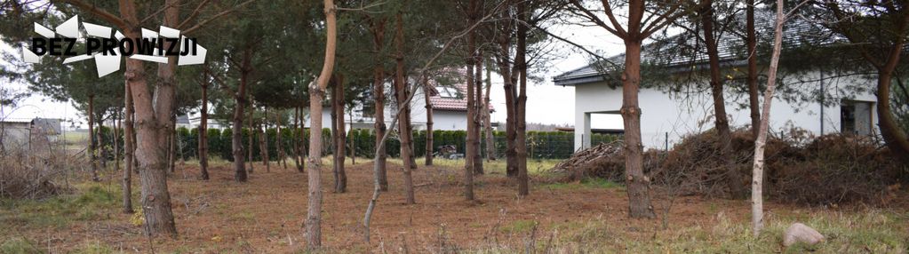 | czysta kw | morze | okolica |