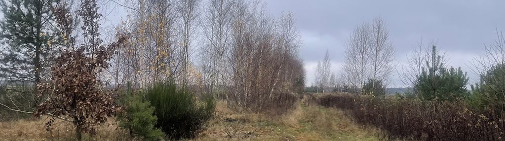 Działka 6443 m² z mediami przy asfaltowej drodze.