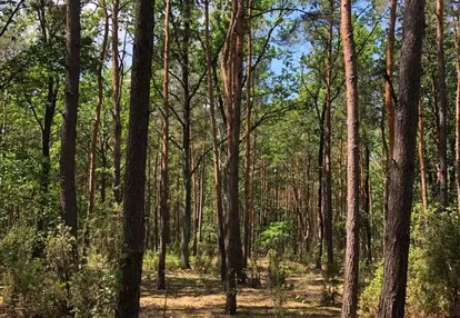 Działka na sprzedaż 8000m2