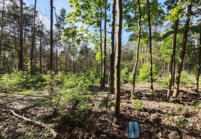 Działka budowlana - warszawa-wawer, radość