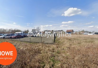 Aktywność gospodarcza w okolicach ch korony