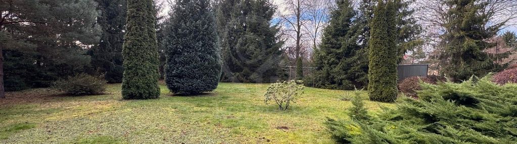Przestronna działka otoczona świerkami