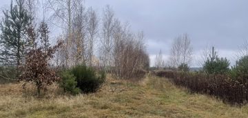 Działka 6443 m² z mediami przy asfaltowej drodze.
