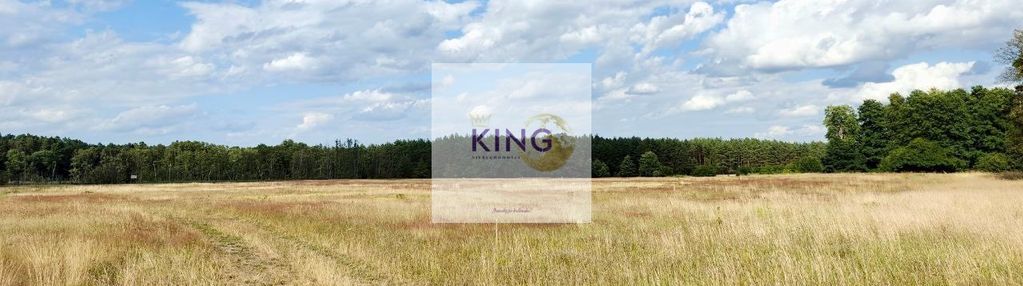 Sprzedaż działka rolna, stolec, gmina dobra!