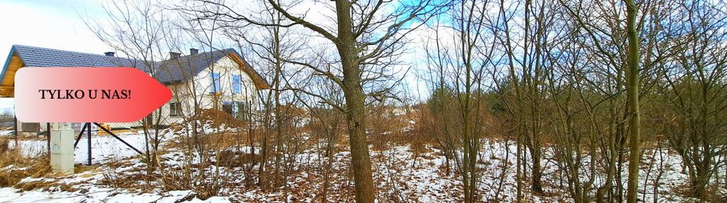 Morzewiec 3260m2, wydane wz, cisza, spokój