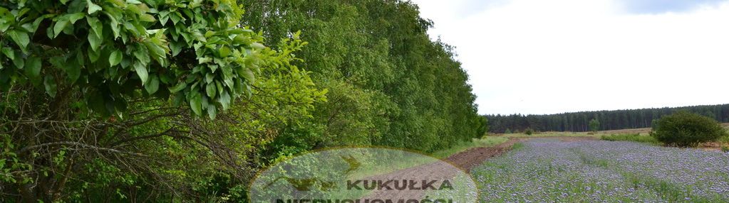 Grunty na sprzedaż w dobrej lokalizacji