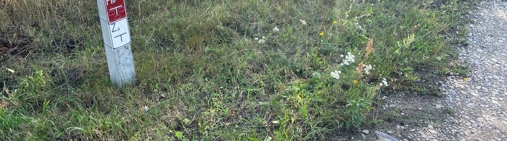 Działka usługowa radzymin blisko trasy s8