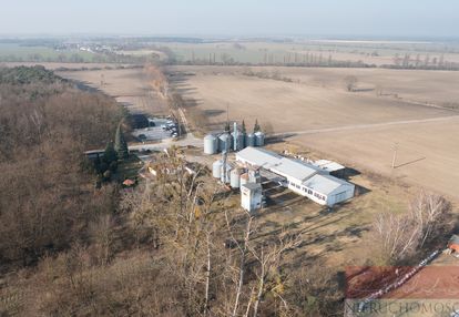Inwestycyjna przy drodze 187 i obwodnicy szamotuł