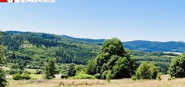 Natura przestrzeń spokój i góry sowie
