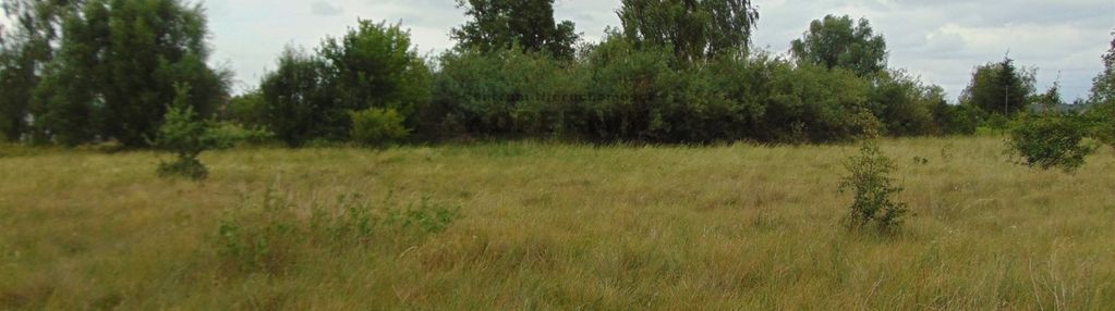 Działka w pędzewie!!! z wz.