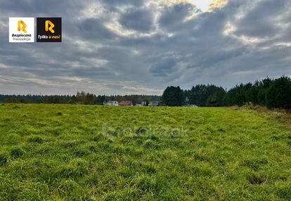 Zabudowa jednorodzinna wolnostojąca lub bliźniacza