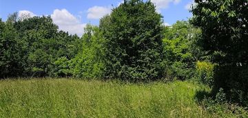 Widokowa, pod  rozłożysty dom oparta o las