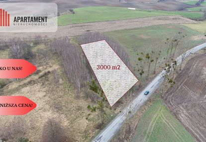 * działka 3000m2 z wz łąsko małe koronowo