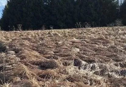 Działka na sprzedaż 3800m2