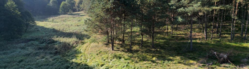 Działki nad rzeką gotelp/ pustki/ chojnicki