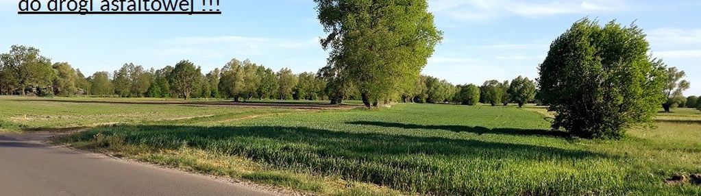 Możliwość podziału na mniejsze działki. 