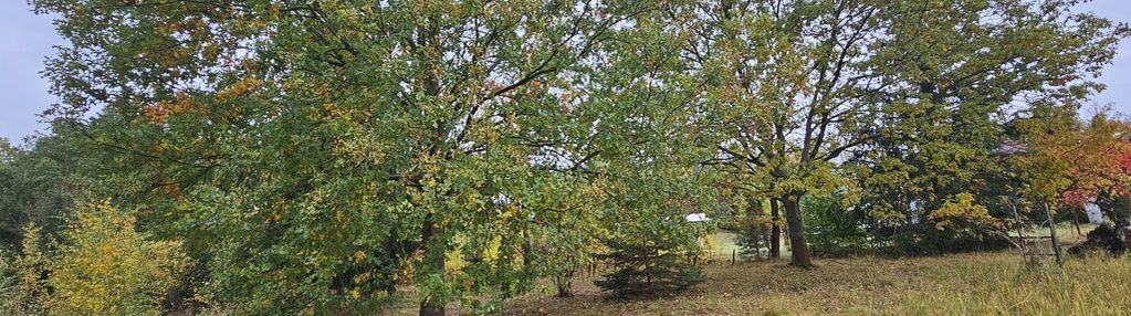 Działka ze stawem !!!! świetna lokalizacja !