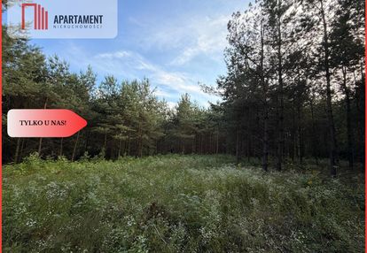3 ha las, staw | wydane warunki zabudowy