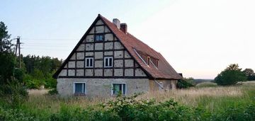 Siedlisko z pruskim murem | 0,63 ha wysokie