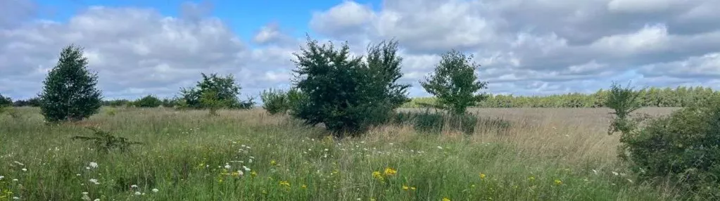 Sprzedam działkę budowlaną - Łebcz