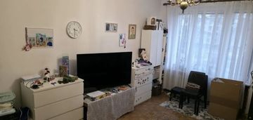 Kawalerka na pradze-południe