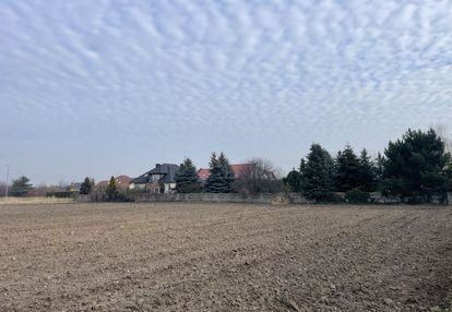 Działka z mpzp przemysłowa w chludowie