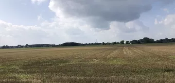 Działka na sprzedaż 3000m2