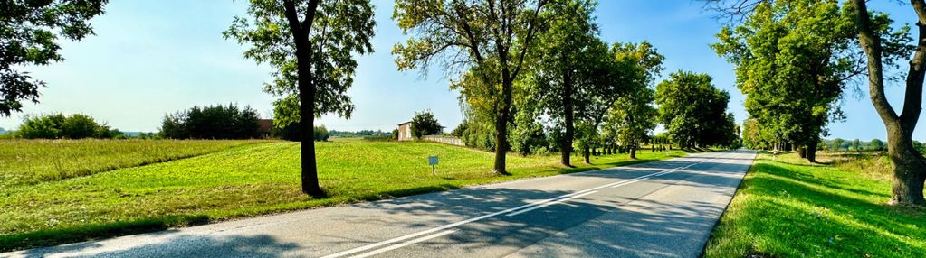 Działka rolno-budowlana na sprzedaż w cielądzu