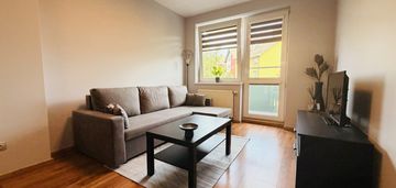 Po remoncie | rozkład| balkon | piwnica