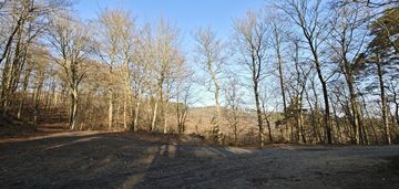 Atrakcyjna działka przy lesie z mpzp - gdynia