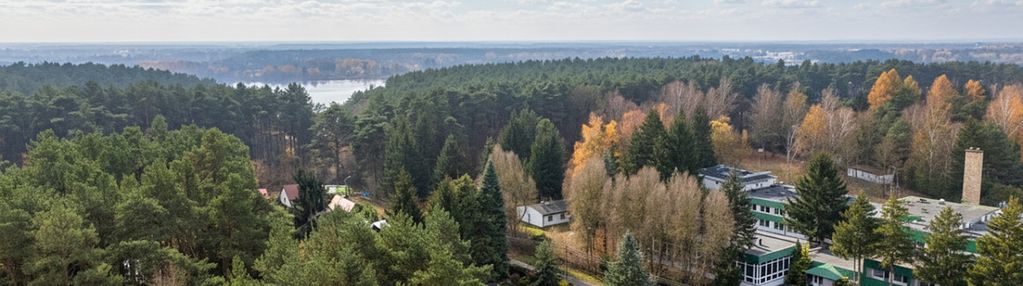 Drewniany dom z ogrodem i basenem, jachranka