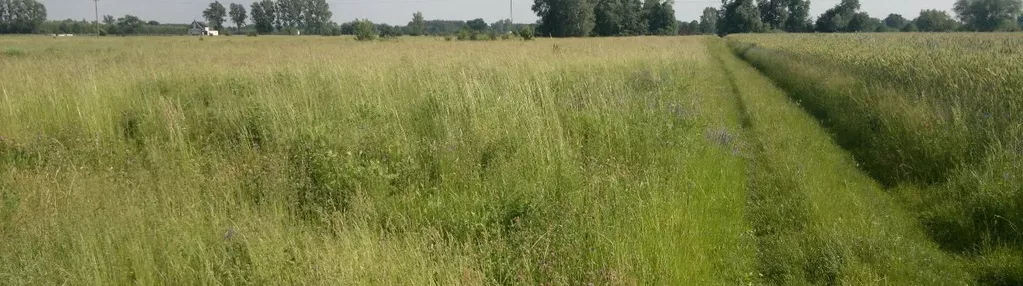 Działka na sprzedaż 1050m2