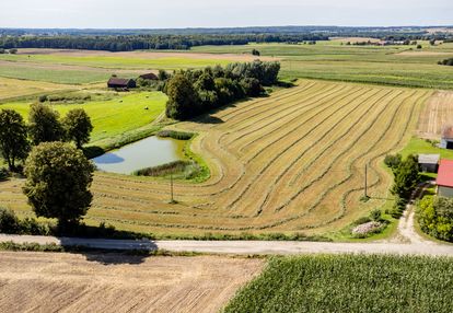 Działka budowlana z zarybionym stawem