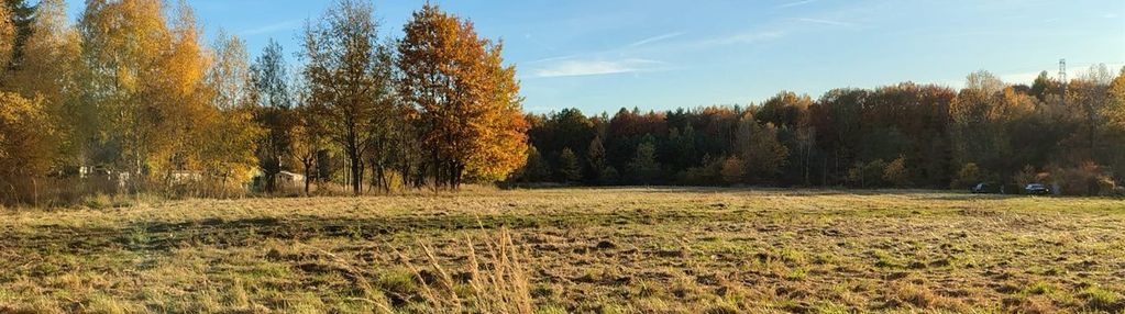 Działka budowlana przy lesie- ul. młyńska