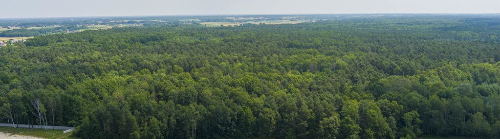 Grunty rolno- leśne