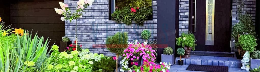 Umowa na wyłączność !!!